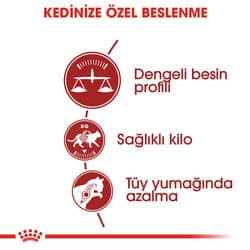 Royal Canin Fit 32 Kuru Kedi Mamasi 4 Kg