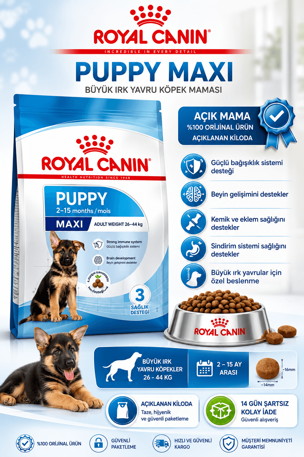 Royal Canin Maxi Puppy Büyük Irk Yavru Açık Köpek Maması 1KG