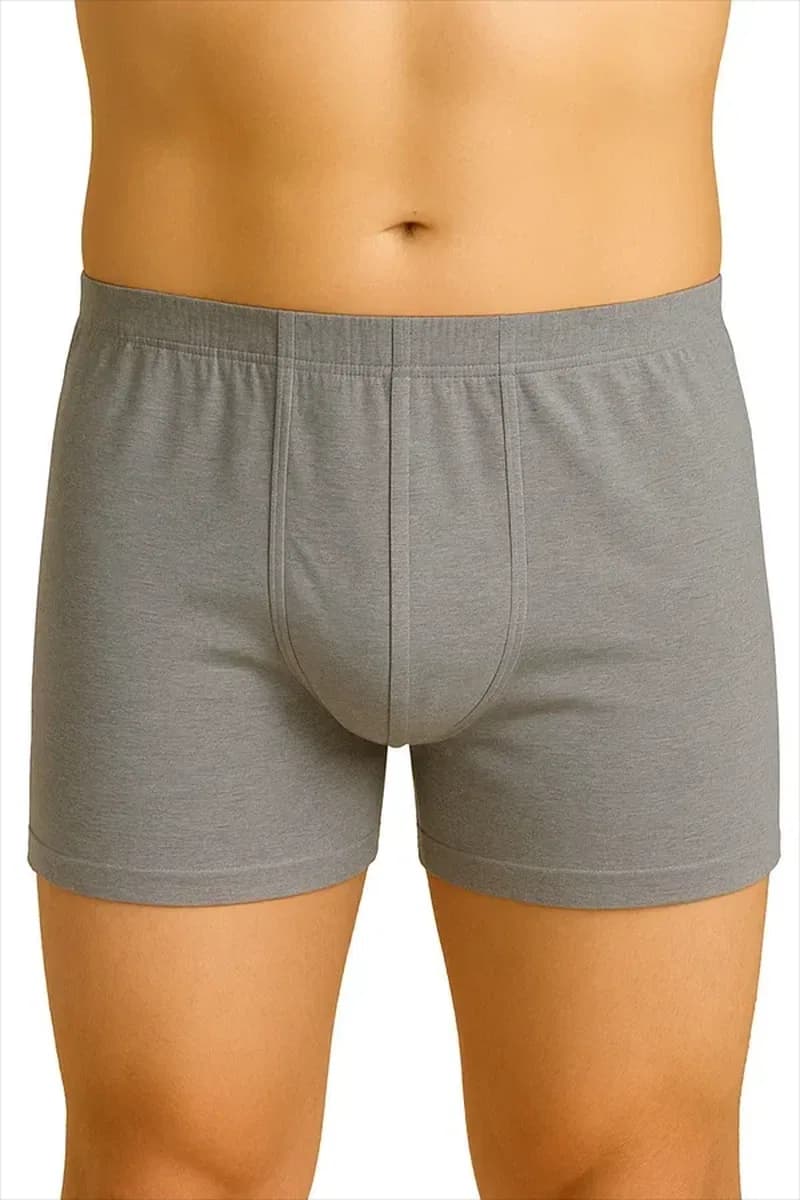 Gri MI 6810 Arjantin Erkek Boxer