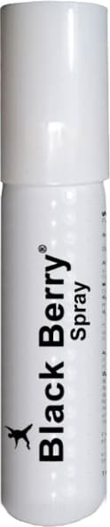 Black Berry Erkeklerin En Yeni Geciktiricisi Sprey