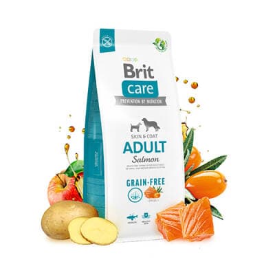 Skin Coat Somonlu Tahılsız Yetişkin Köpek Maması 3 Kg