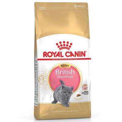 British Shorthair Kitten Yavru Kedi Maması 2 Kg