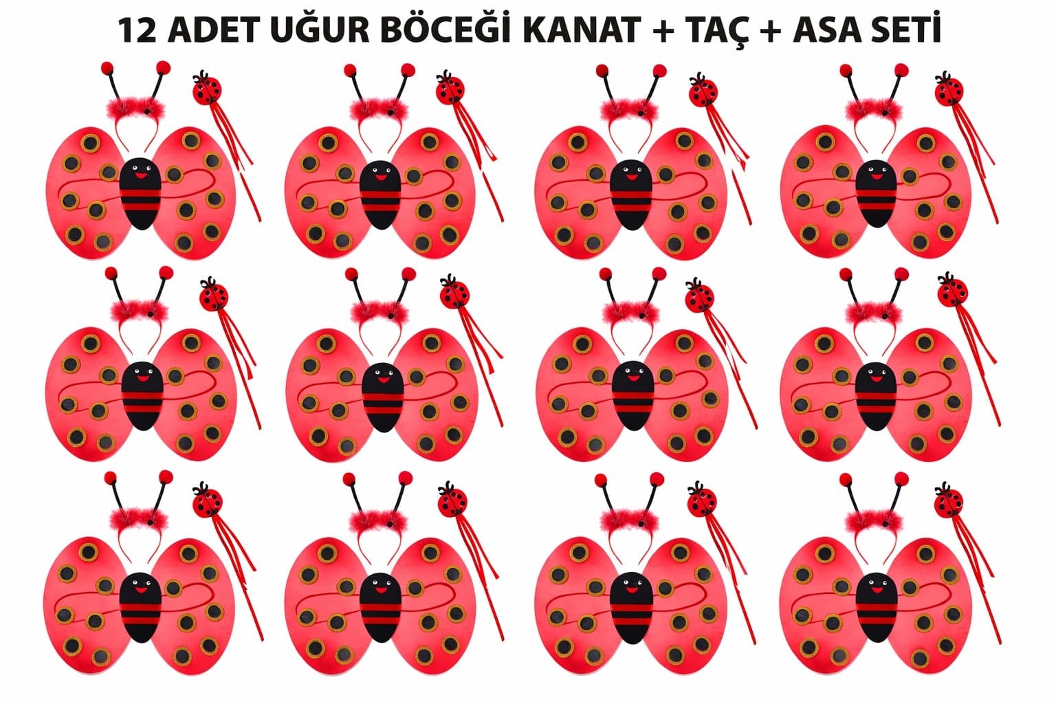 Uğur Böceği Kostüm Seti - Kanat Taç Asa 3 Parça 12 Adet