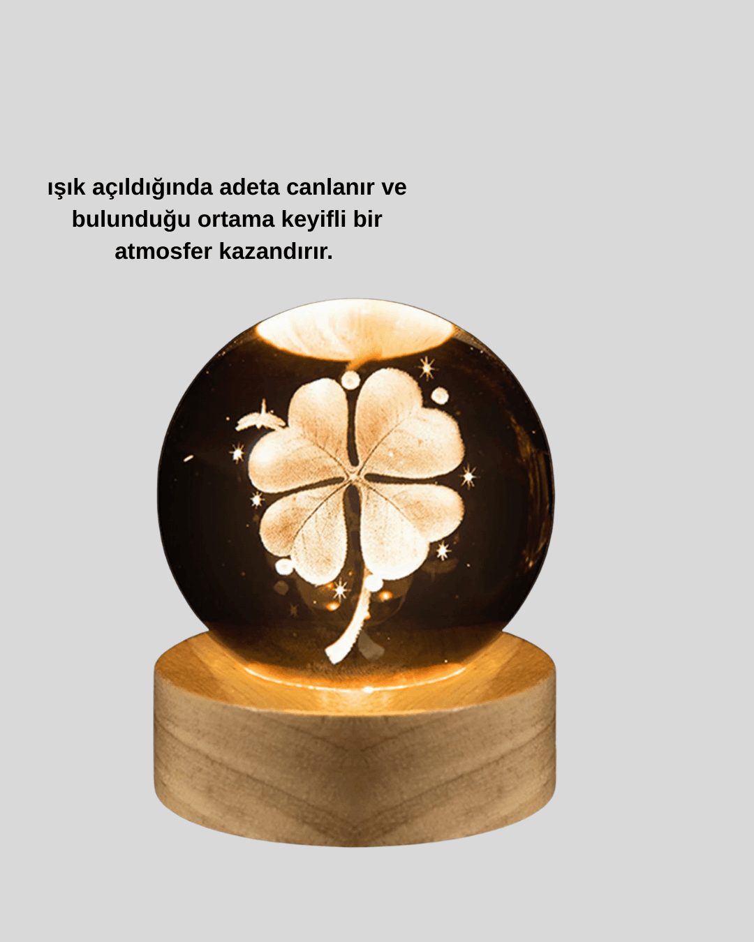 Yonca Bitki Figürlü LED Işıklı Cam Küre USB Ahşap Standlı Gece Lambası