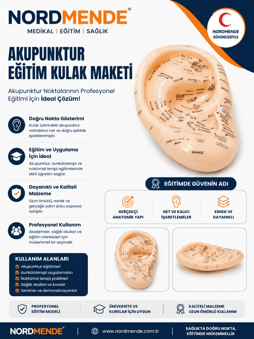 Akupunktur Eğitim Kulak Maketi Auriküloterapi Nokta Gösterim Anatomik Eğitim Modeli