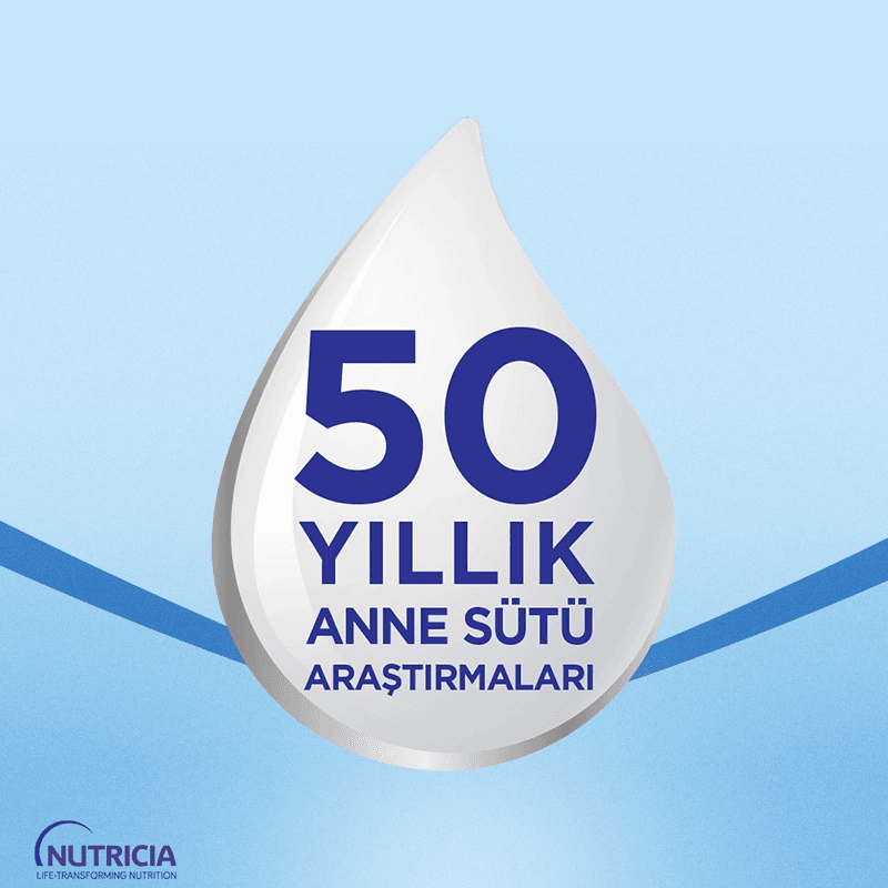 Bebek Sütü Maması No1 0-6 Ay 350 Gr