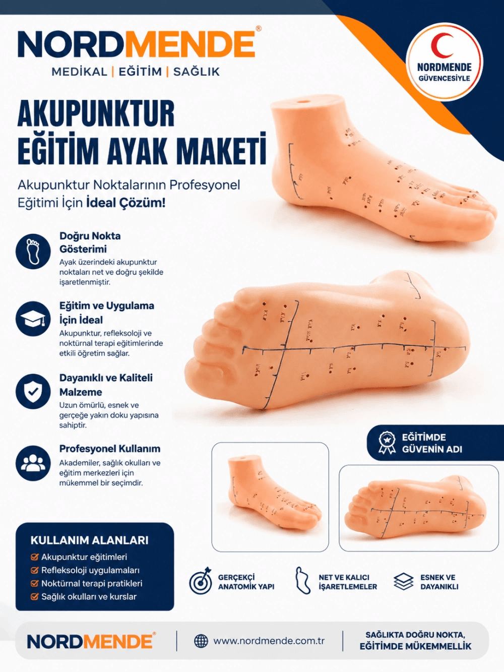 Akupunktur Eğitim Ayak Maketi Anatomik Refleksoloji Nokta Gösterim Modeli Eğitim Maketi